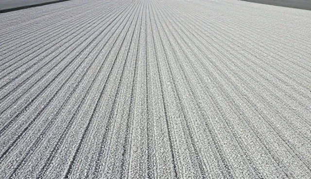 土壤条件对玉米种植的影响及应对策略